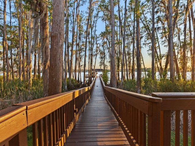 21019 MARSH HAWK DRIVE, Land O Lakes, FL 34638