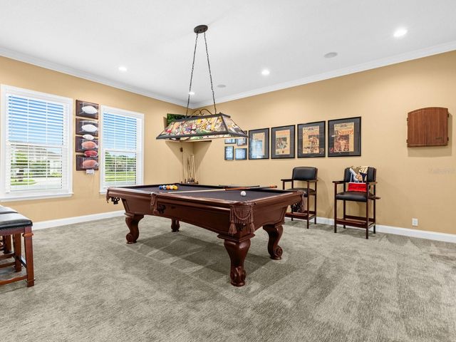 21019 MARSH HAWK DRIVE, Land O Lakes, FL 34638