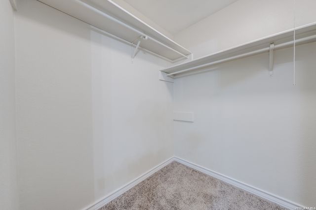 8343 Ballantrae, San Antonio, TX 78239