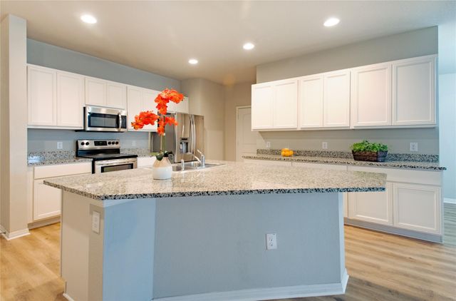 108 Freedom Park Ave, Liberty Hill, TX 78642