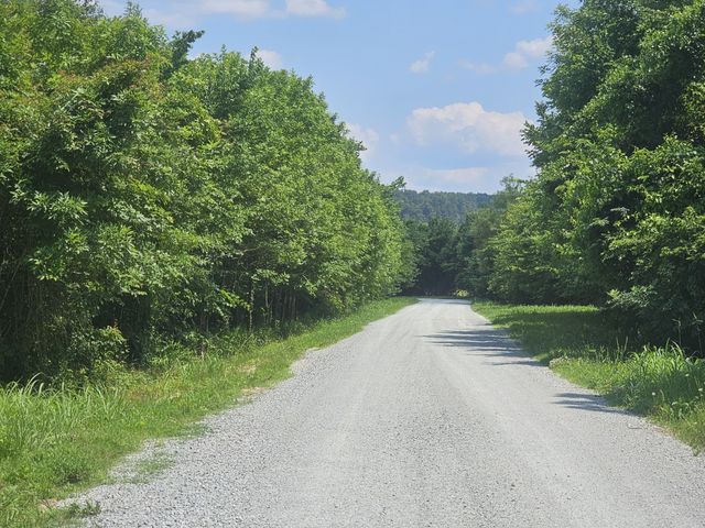 91 Creekside View Ln, Decaturville, TN 38329