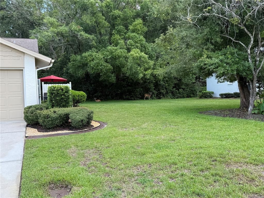 Image 13 of property listing at 11728 ASPENWOOD DRIVE, New Port Richey, FL 34654