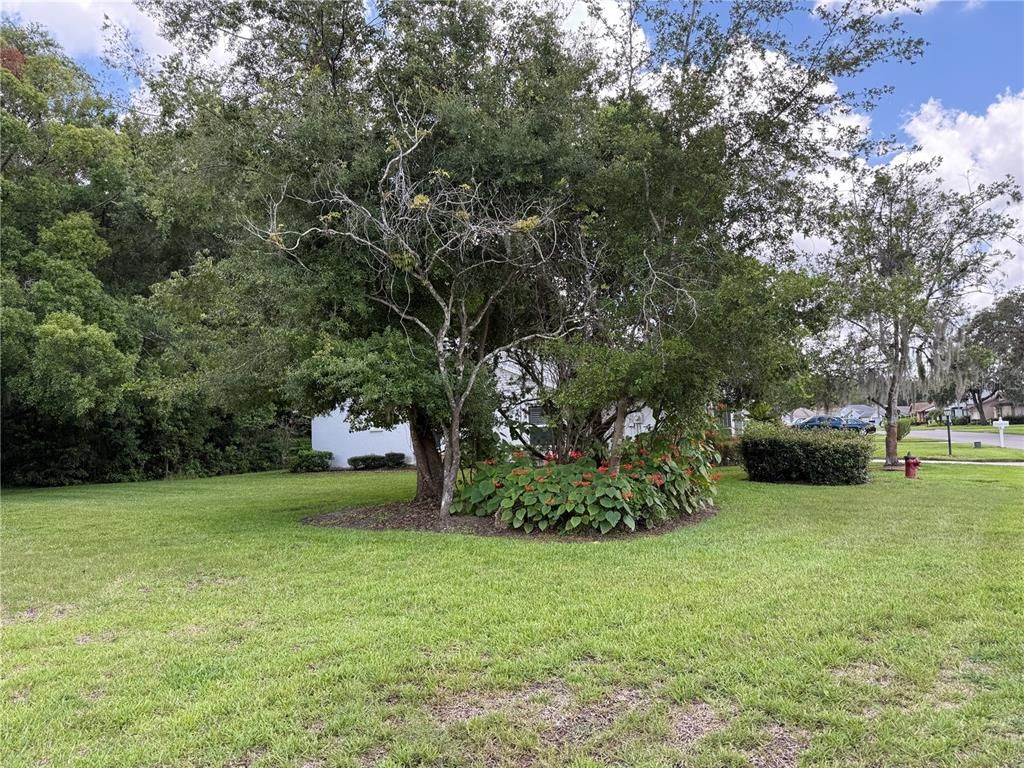 Image 21 of property listing at 11728 ASPENWOOD DRIVE, New Port Richey, FL 34654