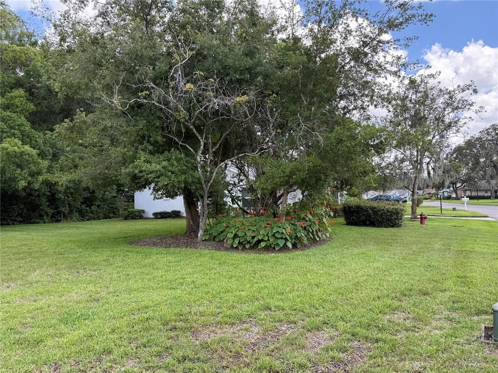 Image 22 of property listing at 11728 ASPENWOOD DRIVE, New Port Richey, FL 34654