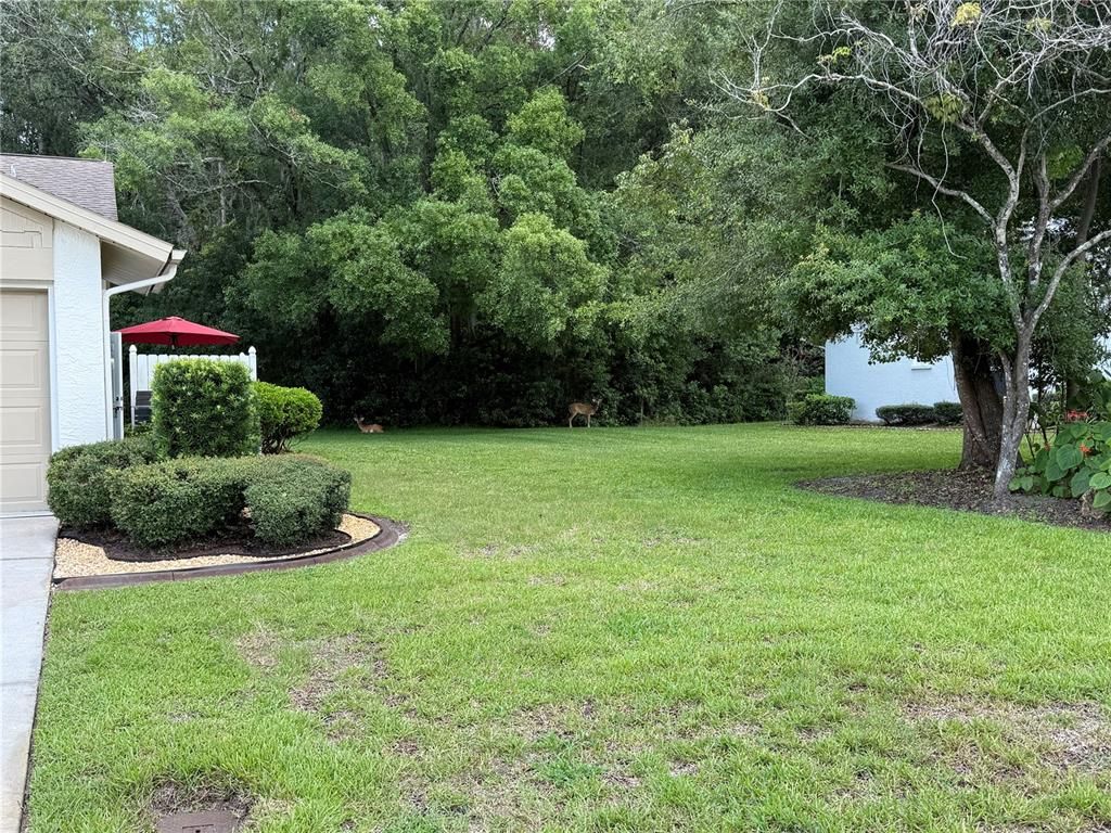 Image 23 of property listing at 11728 ASPENWOOD DRIVE, New Port Richey, FL 34654