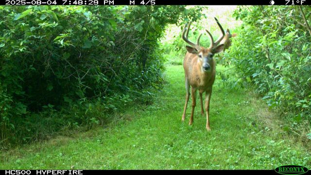 3710 60th Avenue SW, Rochester, MN 55902