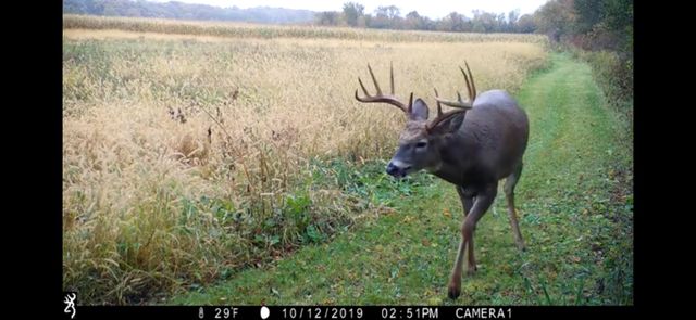 3710 60th Avenue SW, Rochester, MN 55902