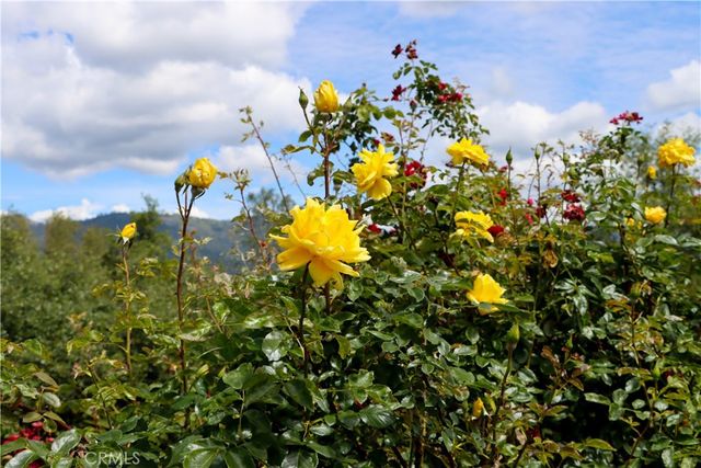 5603 Clouds Rest Road, Mariposa, CA 95338
