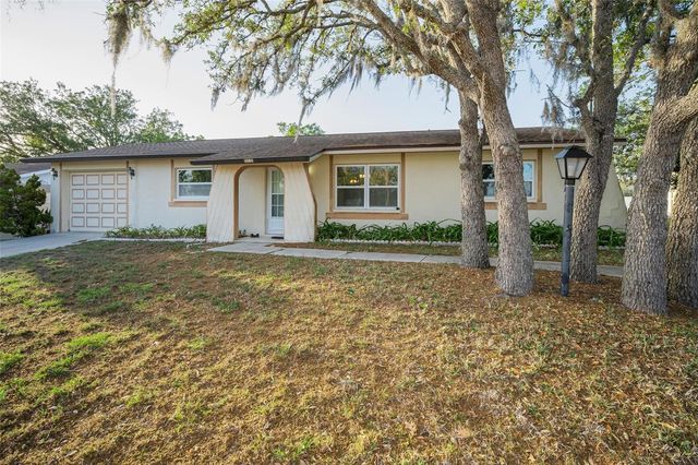 11031 HEATHWOOD AVENUE, Spring Hill, FL 34608