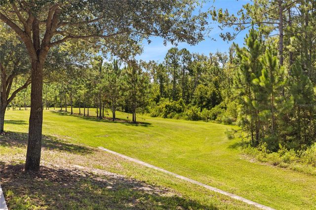 10509 SPRING ARBOR LANE, Winter Garden, FL 34787