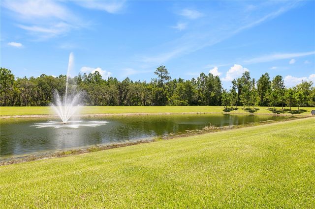10509 SPRING ARBOR LANE, Winter Garden, FL 34787