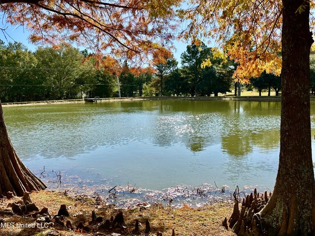 88 Bozeman Paine Circle, Madison, MS 39110