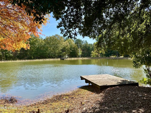 88 Bozeman Paine Circle, Madison, MS 39110