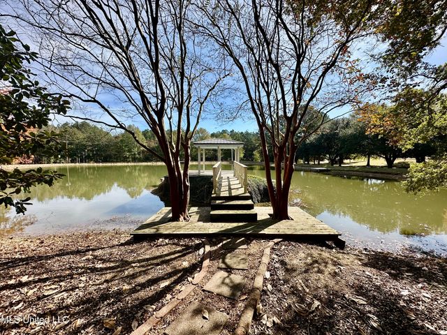 88 Bozeman Paine Circle, Madison, MS 39110