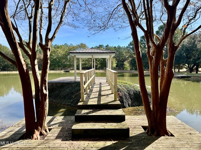 88 Bozeman Paine Circle, Madison, MS 39110