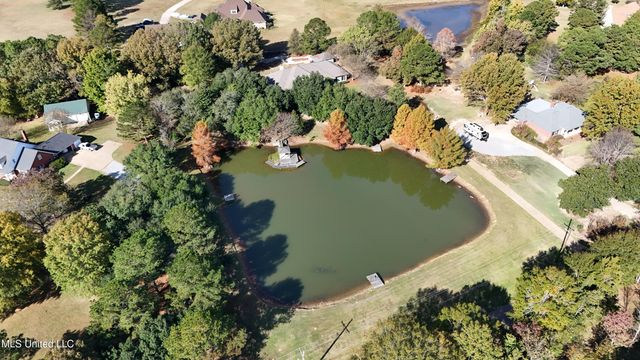 88 Bozeman Paine Circle, Madison, MS 39110