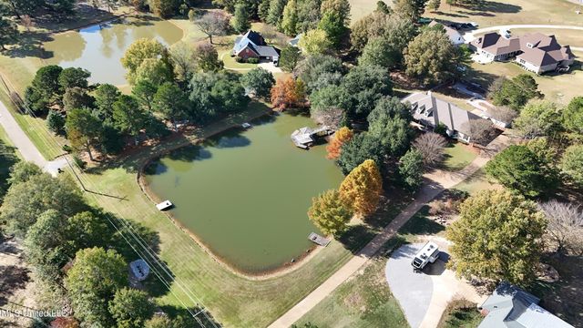 88 Bozeman Paine Circle, Madison, MS 39110