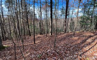 J-214 Walnut Mountain Road, Ellijay, GA 30536