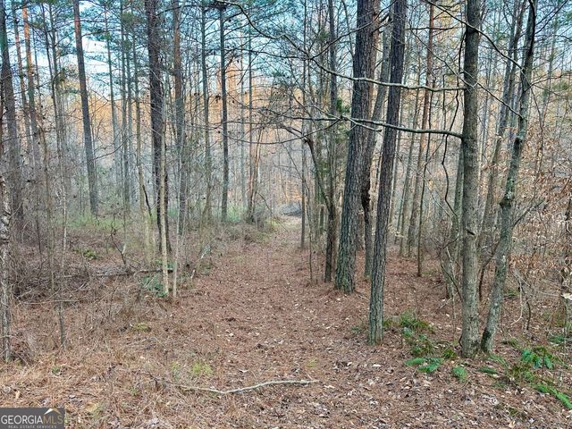 0 - TRACT 2 Mt Zion Church Road, Whitesburg, GA 30185