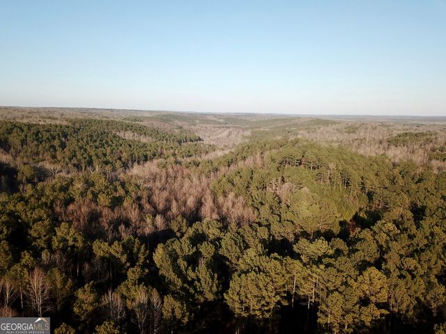 0 - TRACT 2 Mt Zion Church Road, Whitesburg, GA 30185