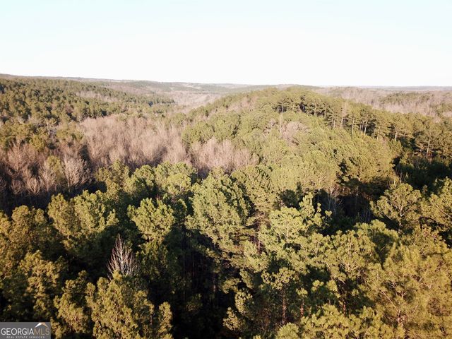 0 - TRACT 2 Mt Zion Church Road, Whitesburg, GA 30185