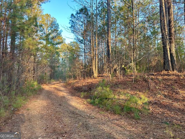 0 - TRACT 2 Mt Zion Church Road, Whitesburg, GA 30185