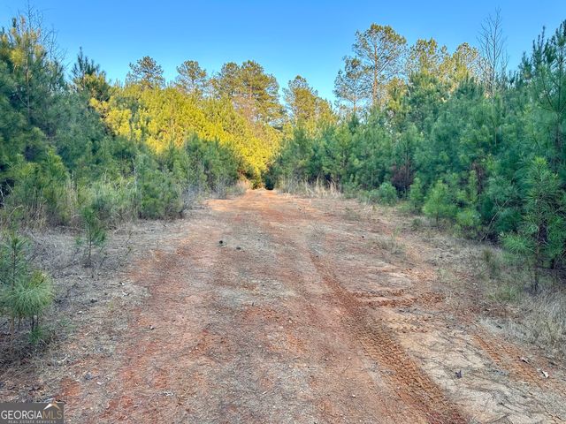 0 - TRACT 2 Mt Zion Church Road, Whitesburg, GA 30185