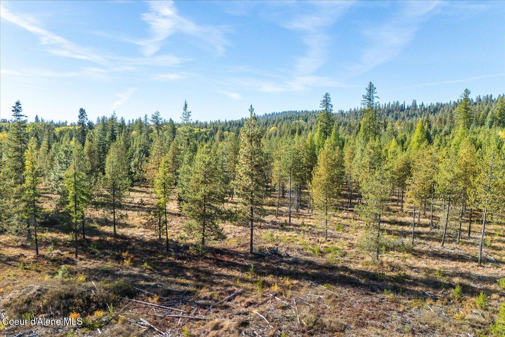 NKA Coyote Trl, Newport, WA 99156 photo 15