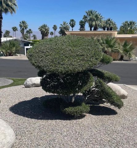 71715 Tunis Road, Rancho Mirage, CA 92270
