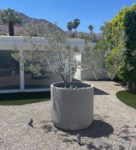 71715 Tunis Road, Rancho Mirage, CA 92270