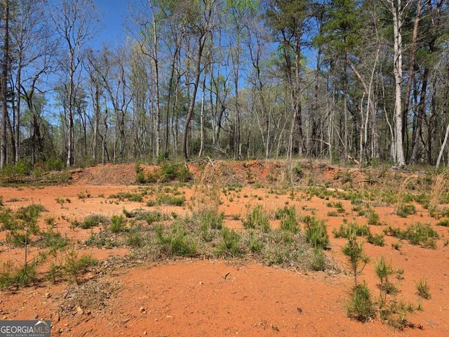 0 THURMOND ROAD 8.64 ACRES Road, Cleveland, GA 30528