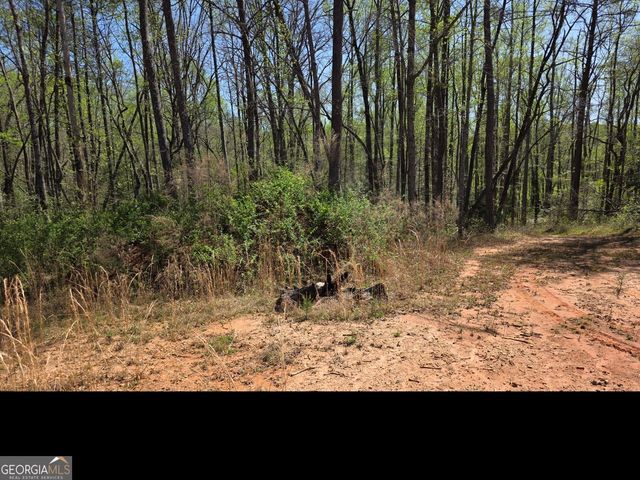 0 THURMOND ROAD 8.64 ACRES Road, Cleveland, GA 30528