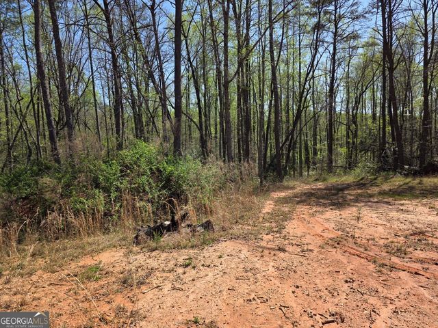 0 THURMOND ROAD 8.64 ACRES Road, Cleveland, GA 30528