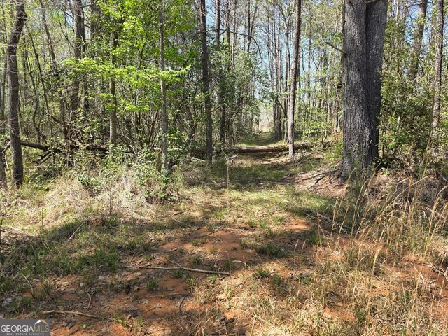 0 THURMOND ROAD 8.64 ACRES Road, Cleveland, GA 30528