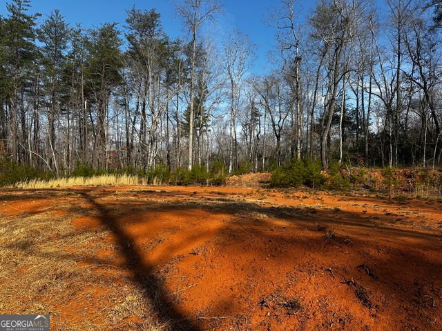 0 THURMOND ROAD 8.64 ACRES Road, Cleveland, GA 30528