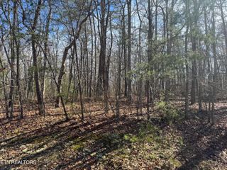 N Laurel Loop, Monterey, TN 38574