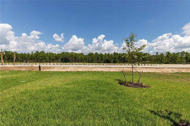 45126 PIPEVINE CIRCLE, Punta Gorda,, FL 33982