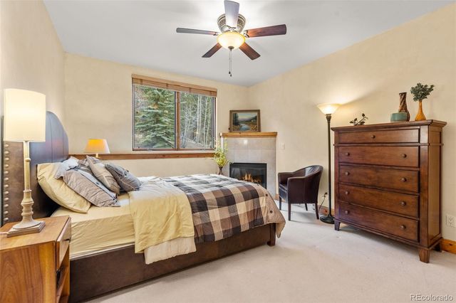 211 Tarnwood Drive, Breckenridge, CO 80424