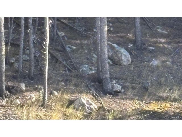 1 Miners Rd, Black Hawk, CO 80422