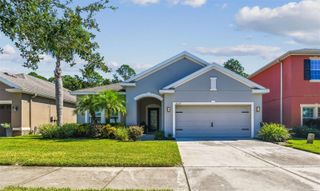 20237 AUTUMN FERN AVENUE, Tampa, FL 33647