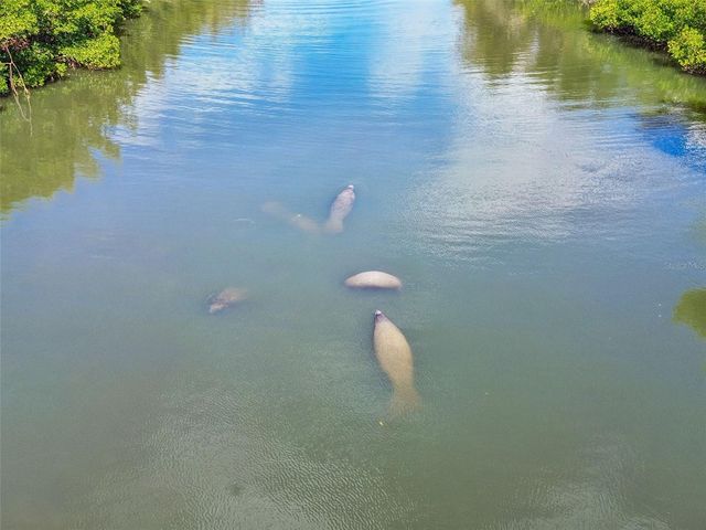 454 BAHIA BEACH BOULEVARD, Ruskin, FL 33570