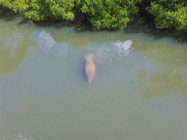 454 BAHIA BEACH BOULEVARD, Ruskin, FL 33570