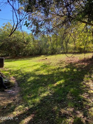 1011 Honeysuckle Drive, Newport, TN 37821