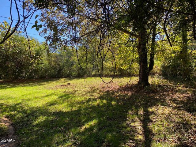 1011 Honeysuckle Drive, Newport, TN 37821