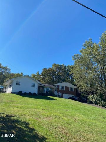 1011 Honeysuckle Drive, Newport, TN 37821