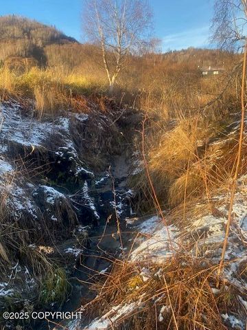 Lot 20 Shelby Kay, Homer, AK 99603