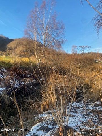 Lot 20 Shelby Kay, Homer, AK 99603