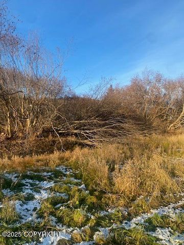 Lot 20 Shelby Kay, Homer, AK 99603