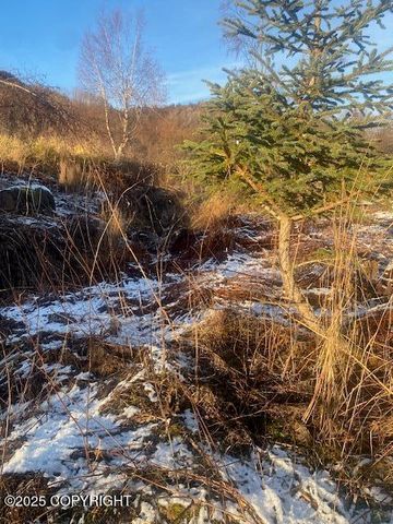 Lot 20 Shelby Kay, Homer, AK 99603