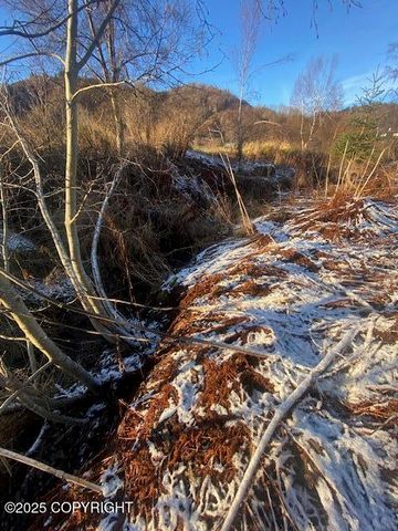 Lot 20 Shelby Kay, Homer, AK 99603